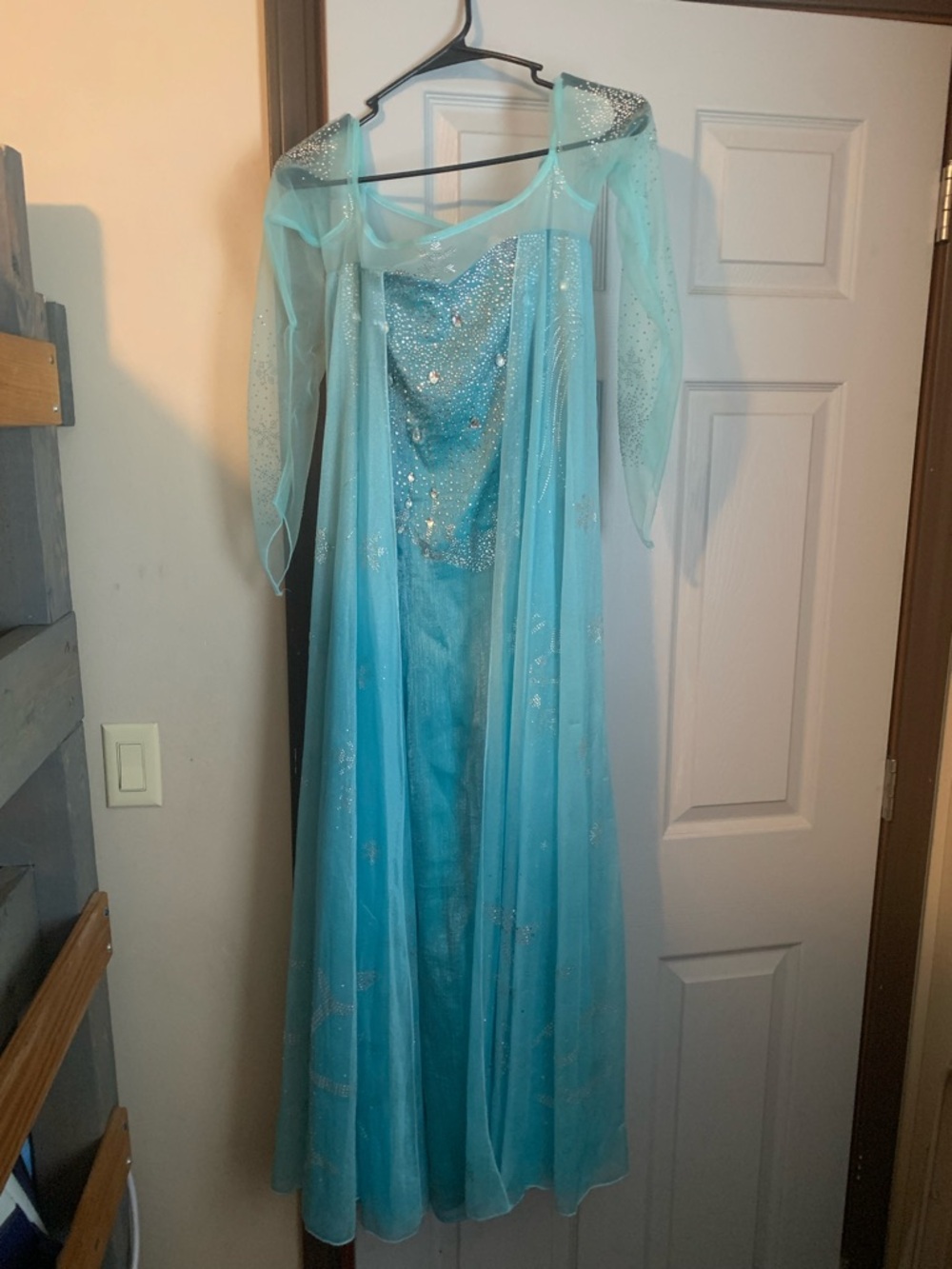 Adult Elsa Cosplay Costume